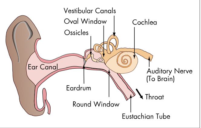 Εικόνα 6 2 26 11.51 πμ